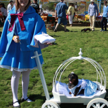 White small Angel Carriage