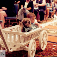 Ivory Medium pumpkin wagon