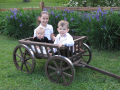 Large pumpkin wagon, in dark brown stain, aluminum wheel bands not available
