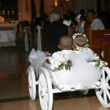 White Large size flower girl pumpkin wagon