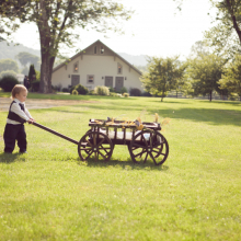 Dark Brown large size pumpkin wagon