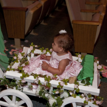 White Medium Pumpkin Wagon