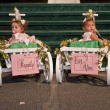 White Medium Pumpkin Wagon (signs not included)