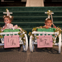 White Medium Pumpkin Wagon