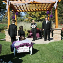 White Medium Pumpkin Wagon