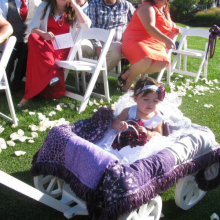White Medium Pumpkin Wagon