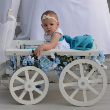 White Medium Pumpkin Wagon