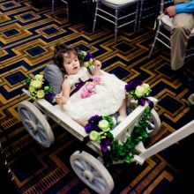 White Small Pumpkin Wagon