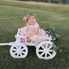 White Small Pumpkin Wagon