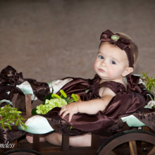 Small Pumpkin Wagon, in Dark Brown Stain