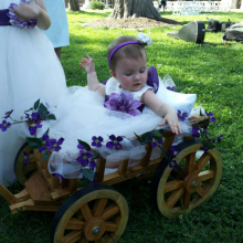 Small wagon, unfinished